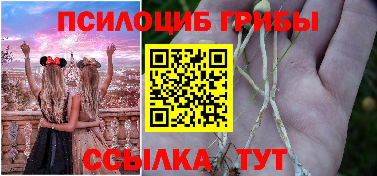 Псилоцибиновые грибы прущие грибы Егорьевск