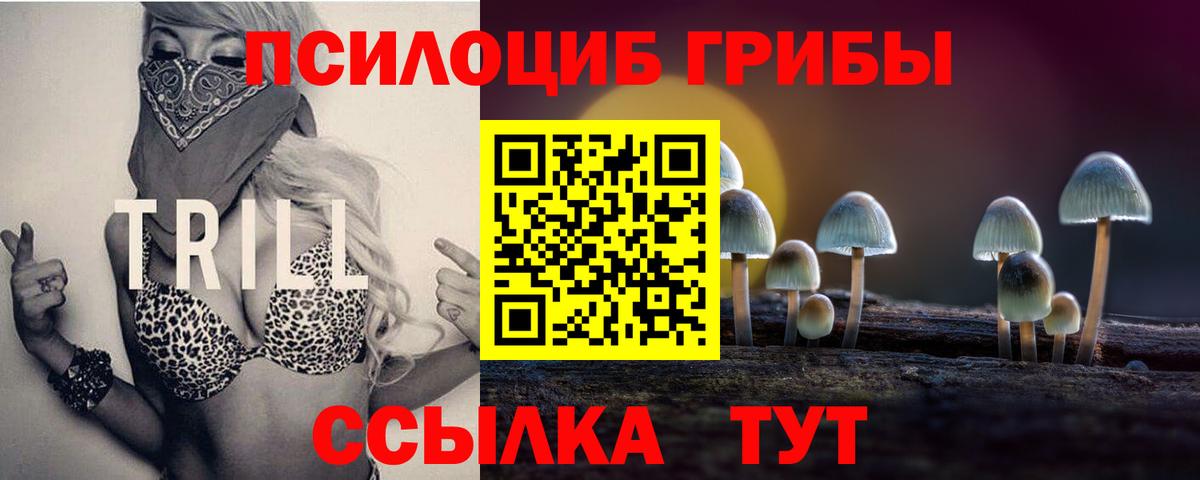 Галлюциногенные грибы Magic Shrooms  Вход с VPN  Егорьевск 